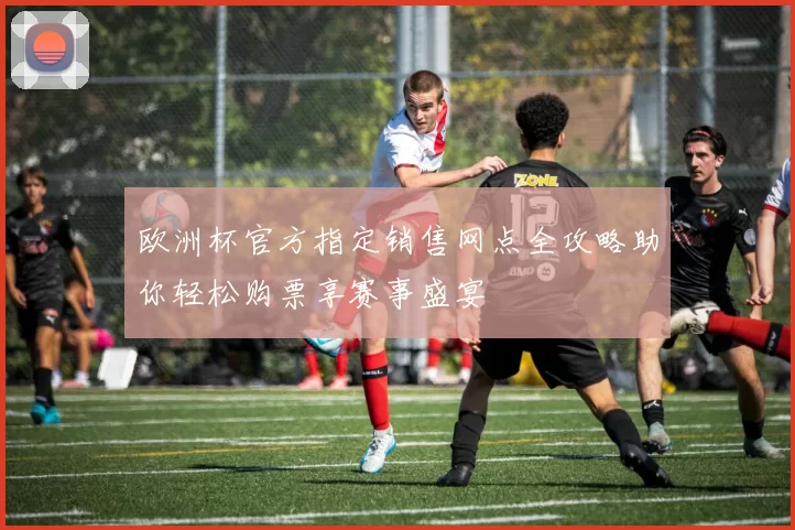 欧洲杯官方指定销售网点全攻略助你轻松购票享赛事盛宴
